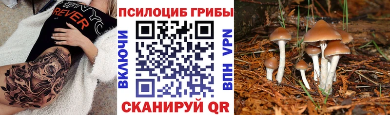 Галлюциногенные грибы прущие грибы Якутск
